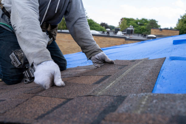 Best Roof Gutter Cleaning  in Cave Spring, VA