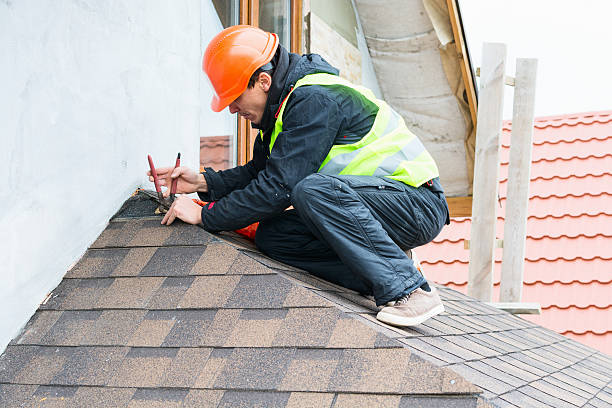 Best Metal Roofing Contractor  in Cave Spring, VA
